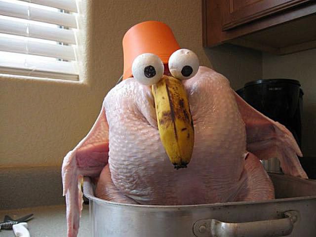 images of funny turkeys