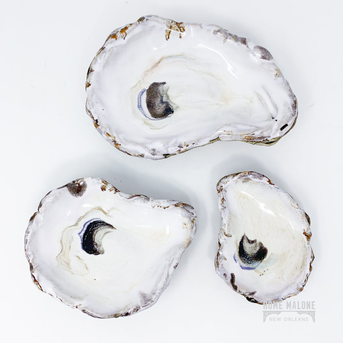 images of oyster shells