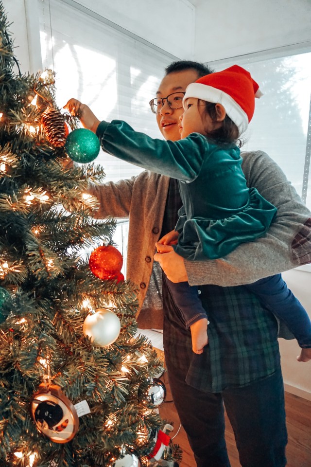 indoor christmas photoshoot ideas