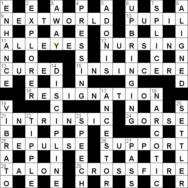 insincere talk crossword