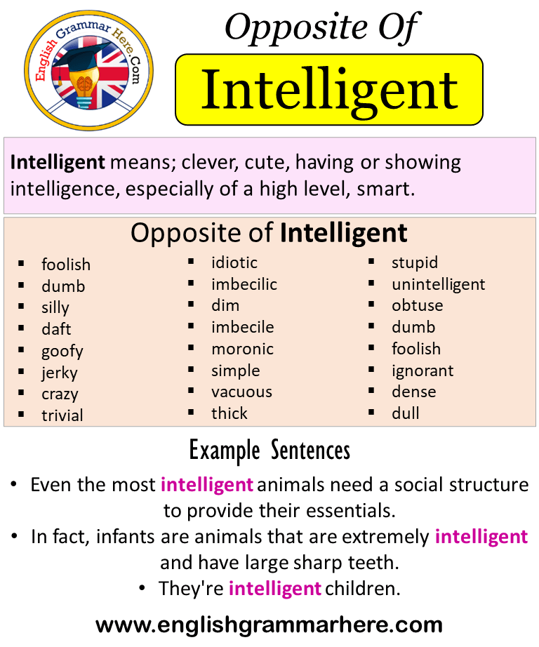 intelligent synonyms