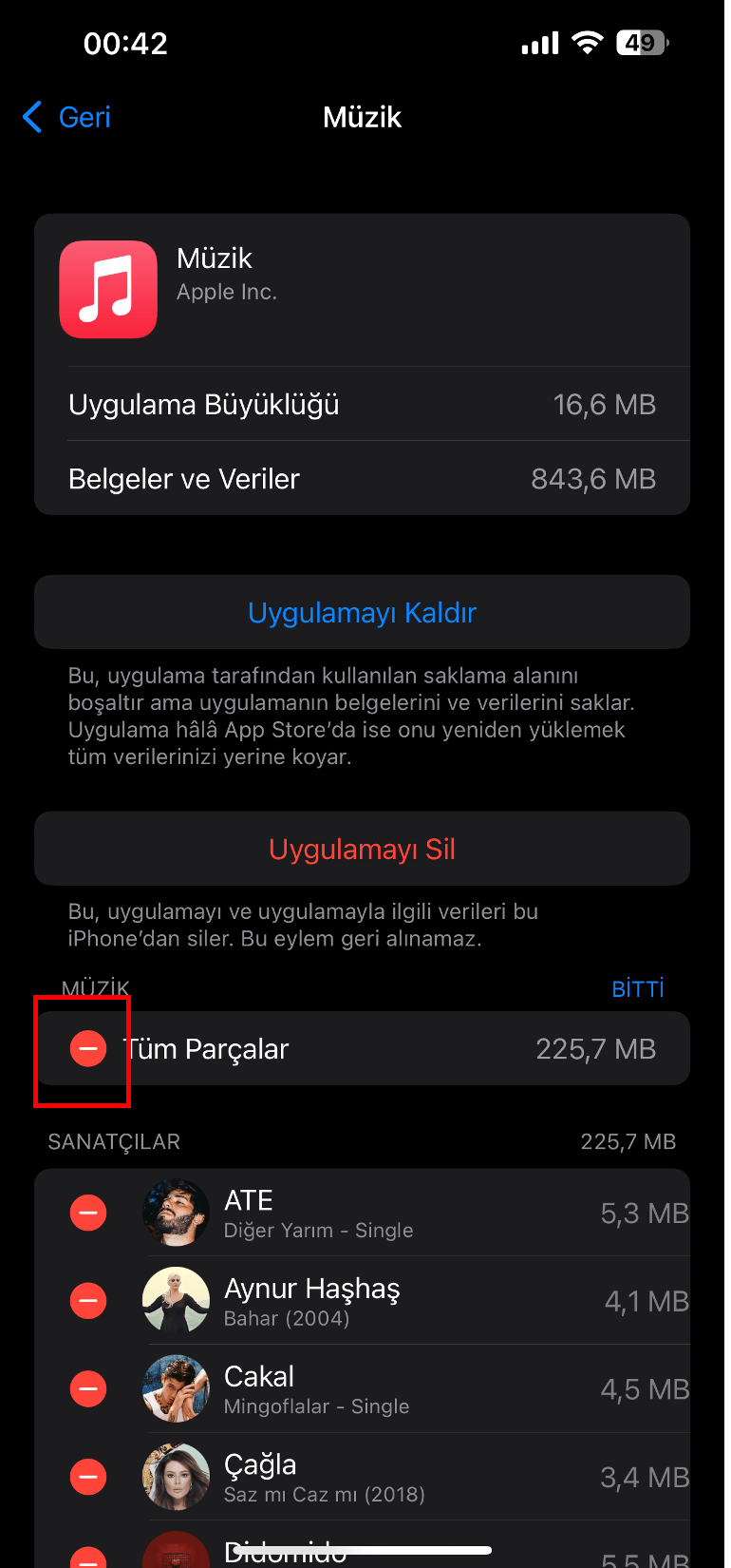 ipod dan müzik silme