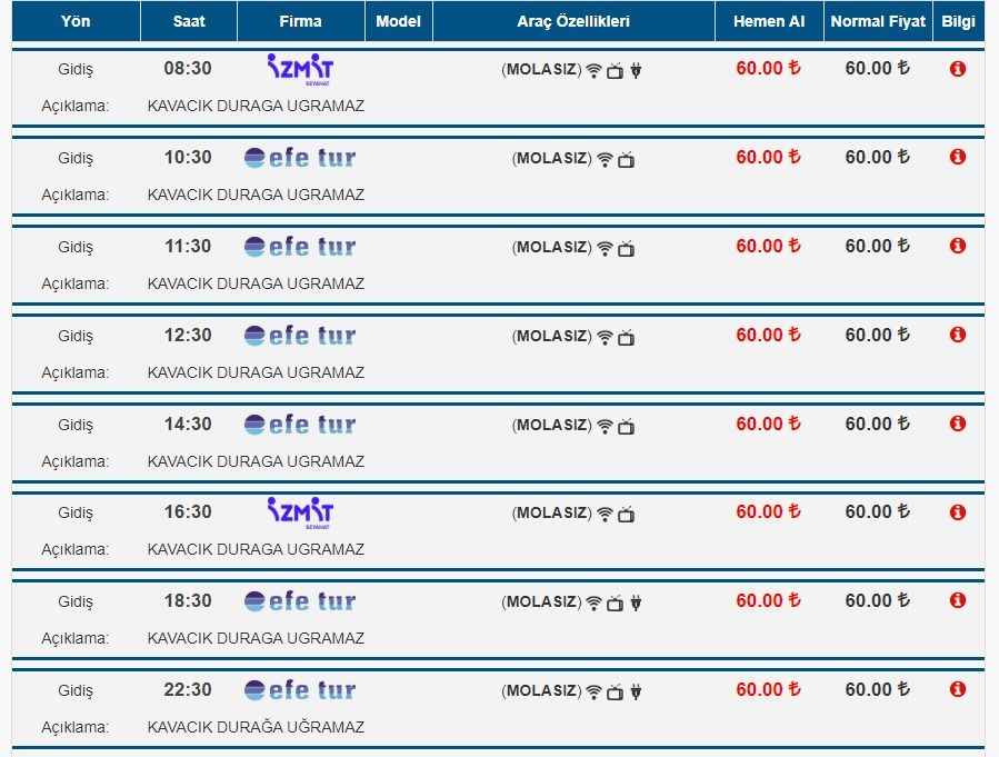 izmit efe tur bayileri