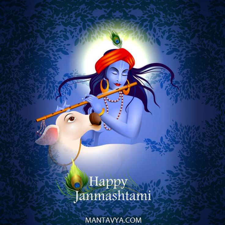 janmashtami pinterest