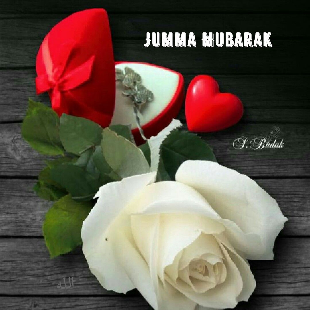 jumma mubarak roses