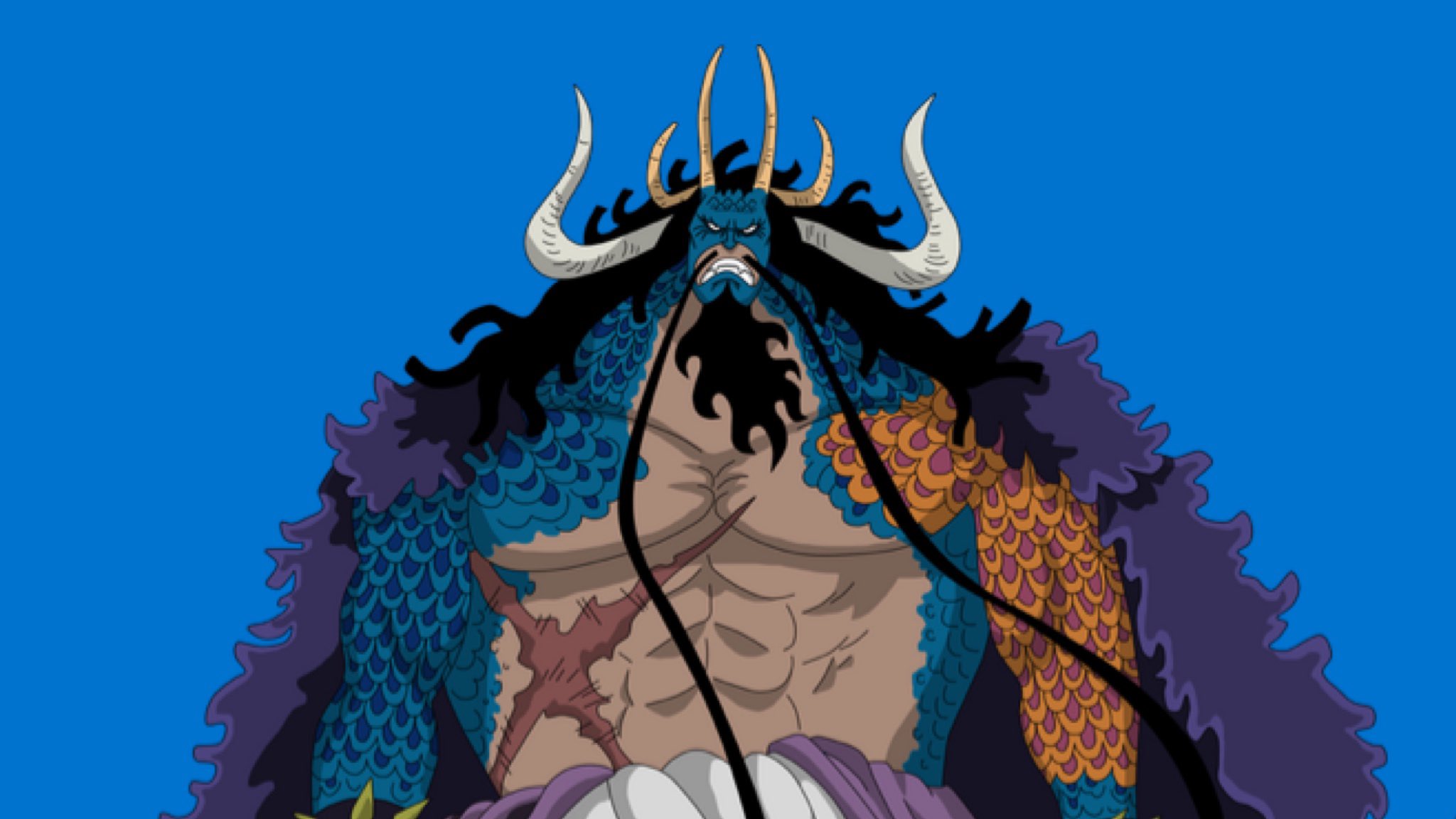 kaido scar