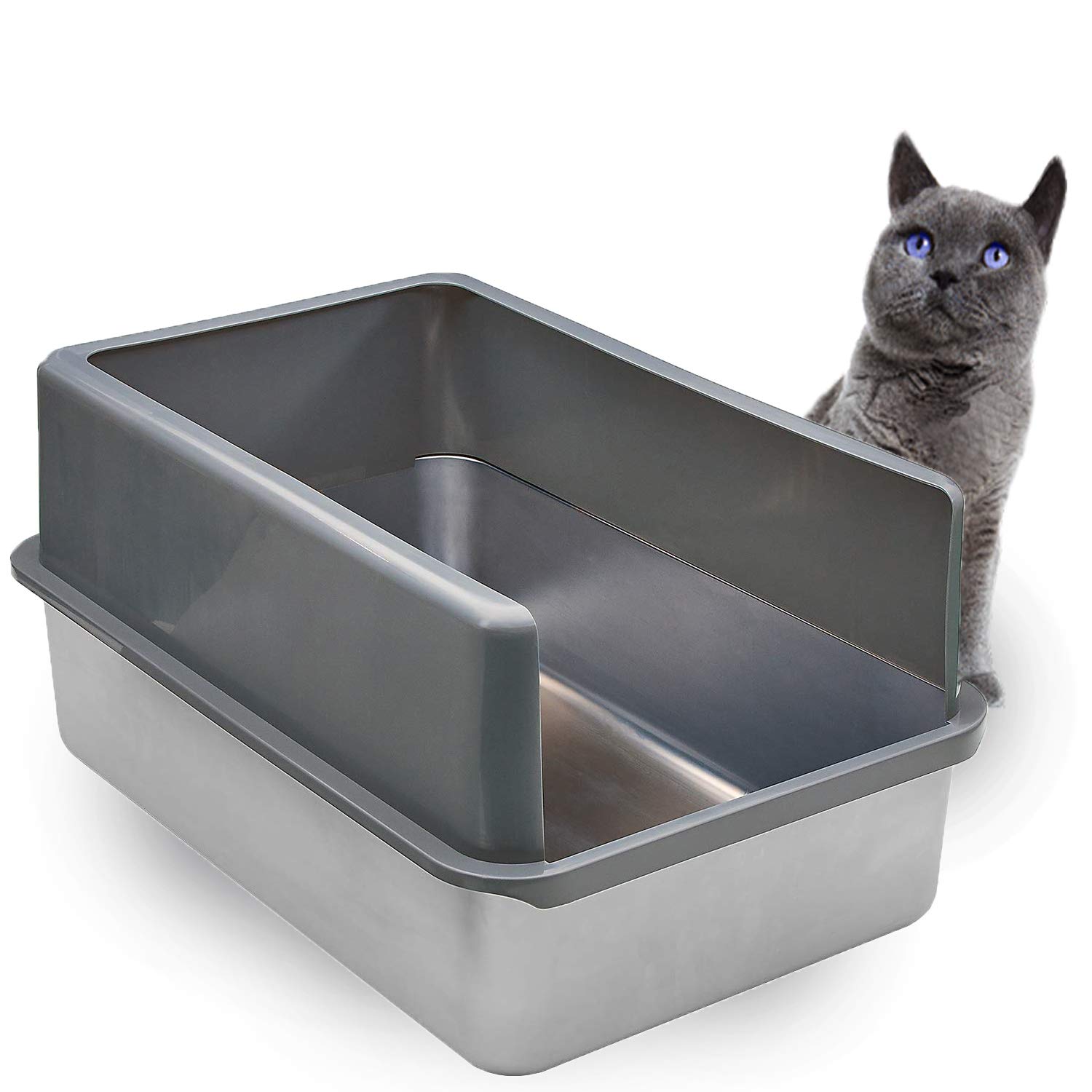 kitty litter tray with lid