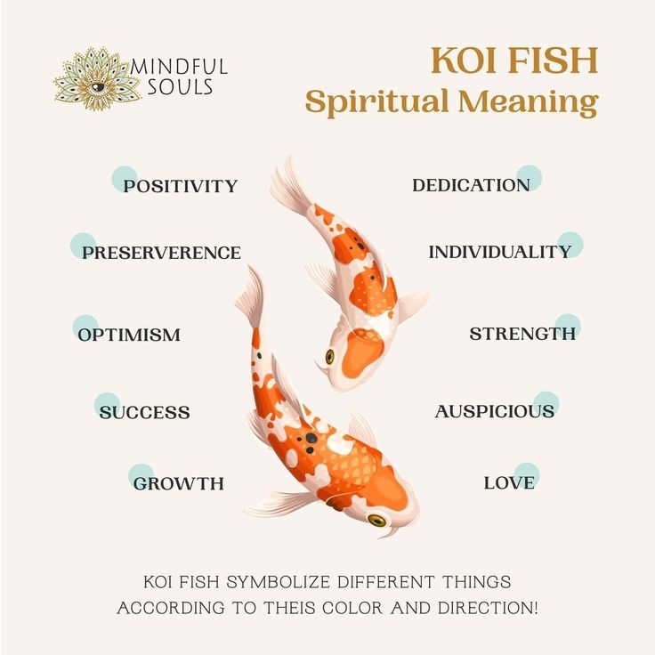 koi fish anlamı