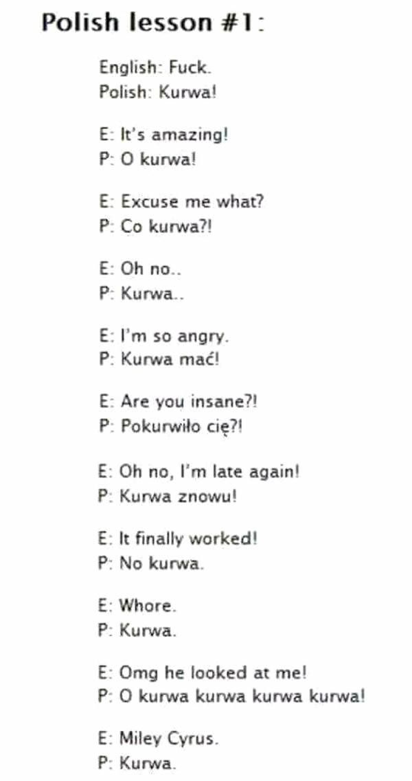 kurwa in english