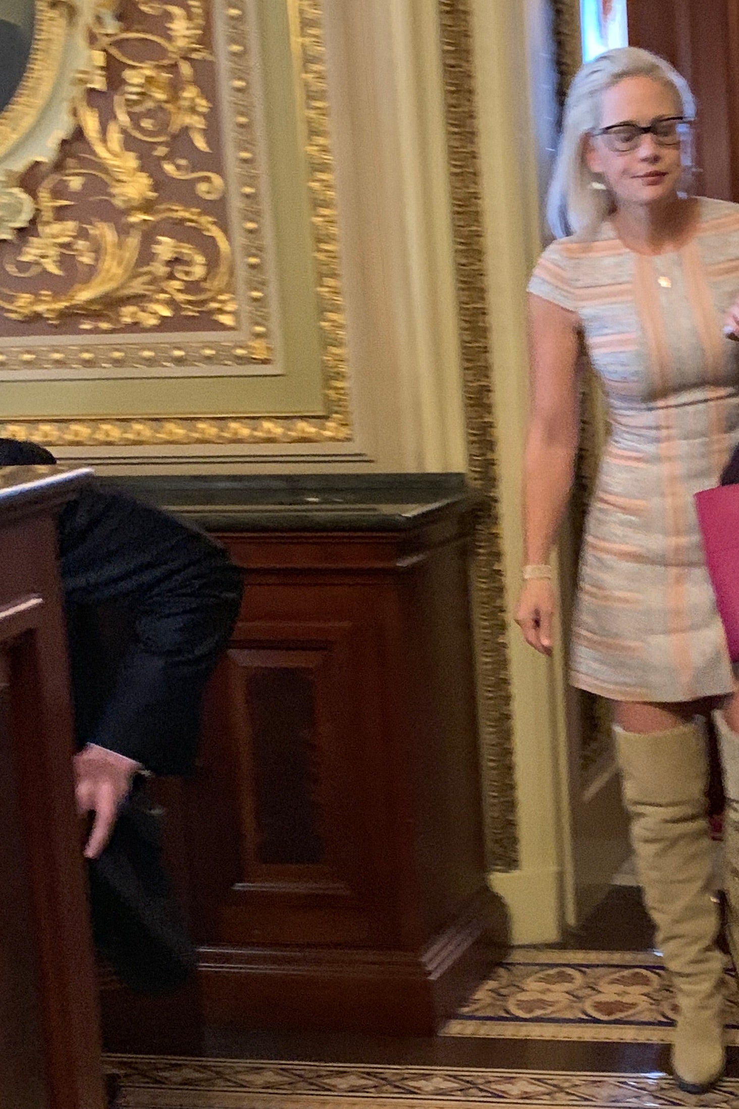 kyrsten sinema sexy