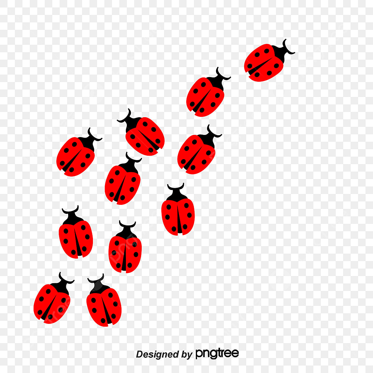 lady bug sin fondo