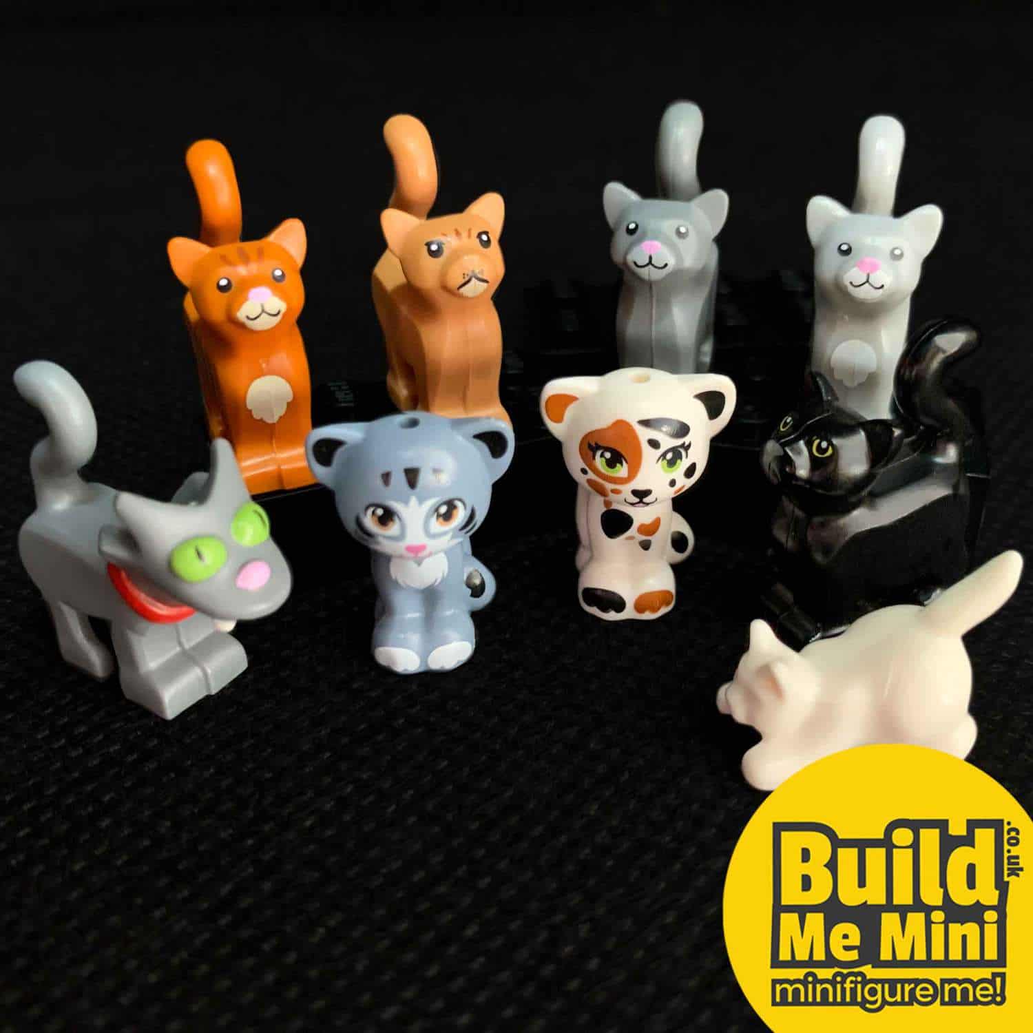 lego cat minifigure