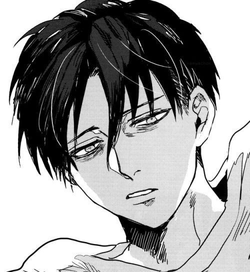 levi ackerman x reader