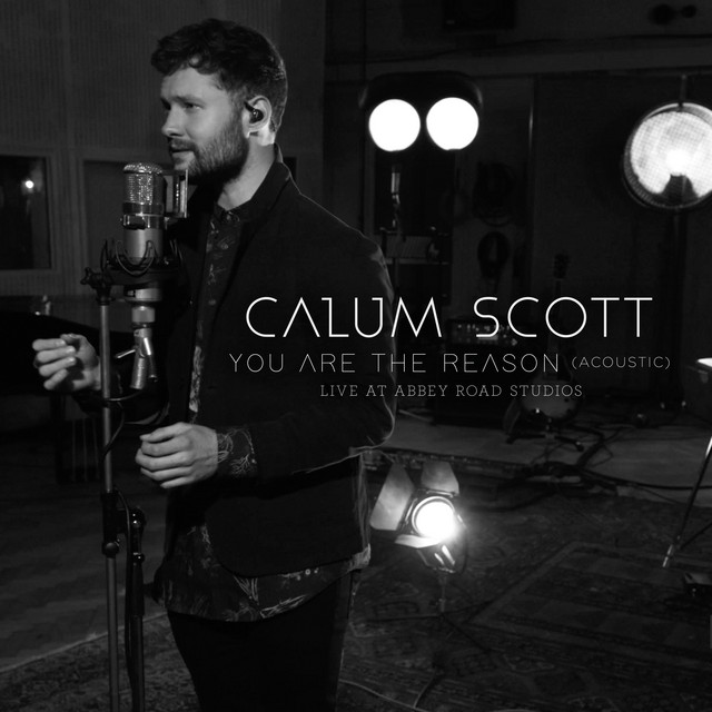 listen to calum scott you are the reason