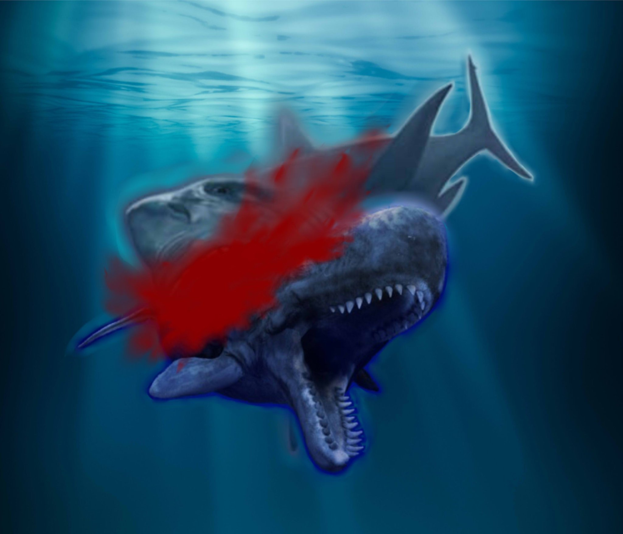 livyatan vs megalodon