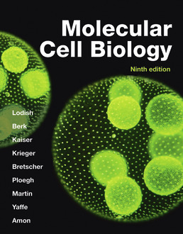 lodish molecular cell biology