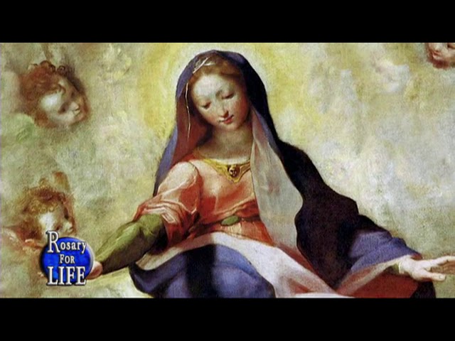 luminous mysteries ewtn