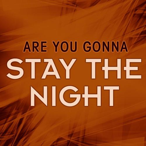 lyrics are you gonna stay the night