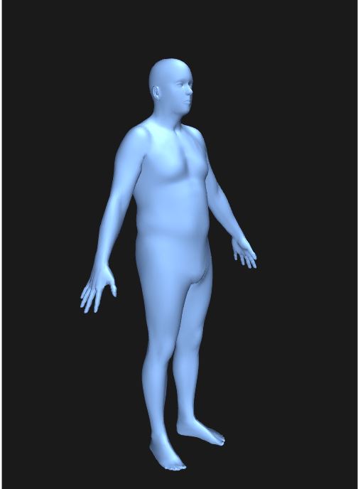 male body visualizer