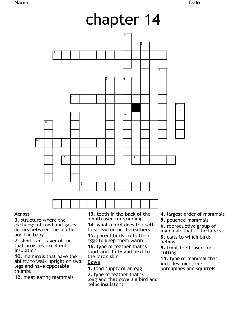 mammal type crossword clue