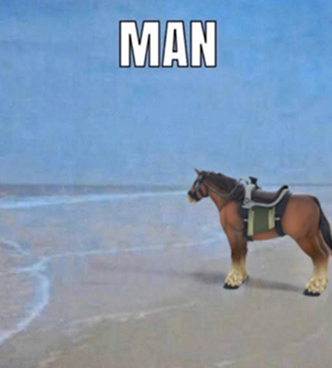 man horse meme