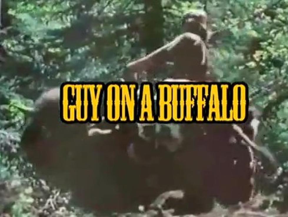 man on a buffalo episode 2