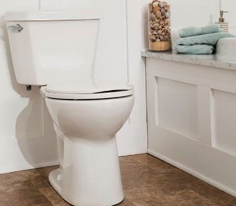 mansfield toilet vs american standard