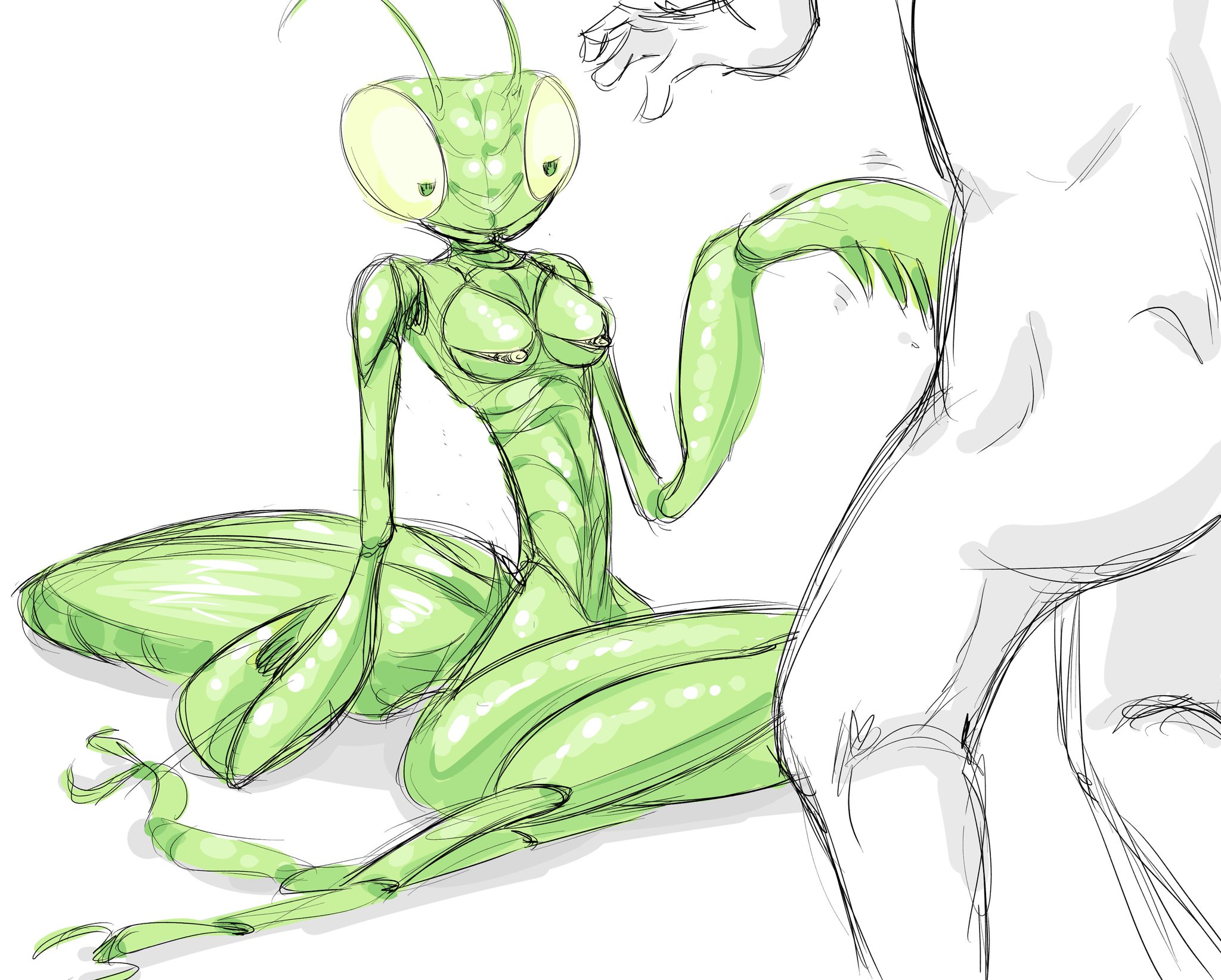 mantis rule 34