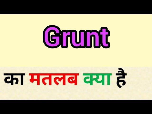 meaning of grunt in hindi