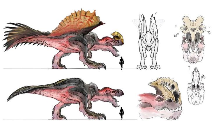 mhw anjanath