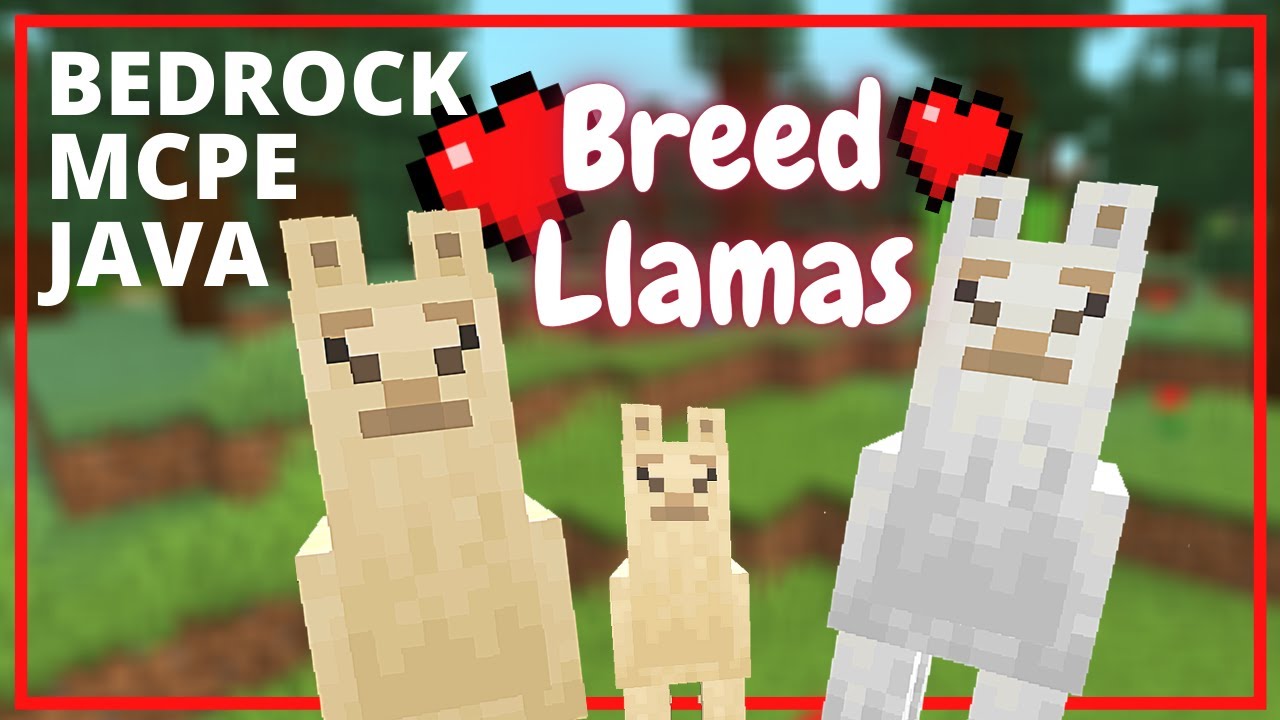 minecraft breeding llamas