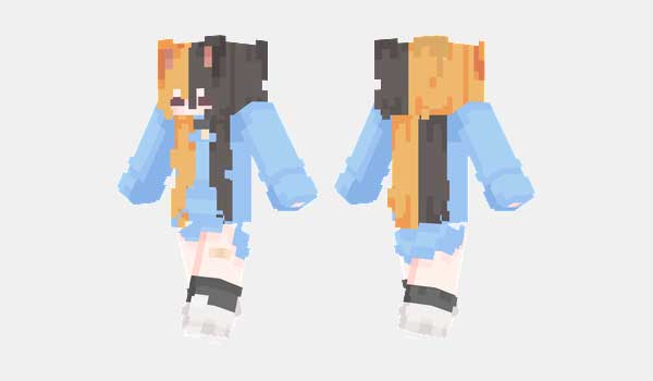 minecraft cat skin