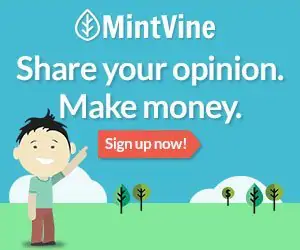 mint surveys review