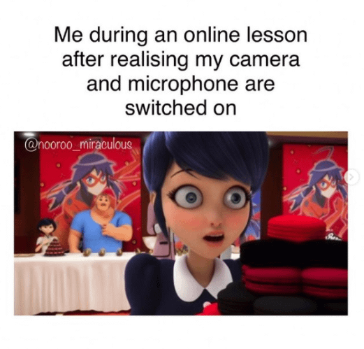 miraculous ladybug memes funny