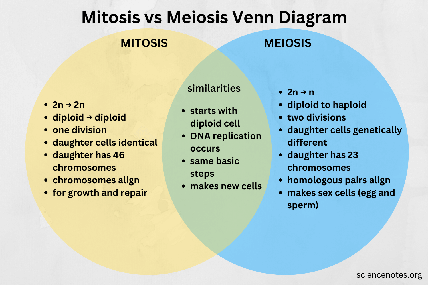 mitosis and meiosis venn diagram