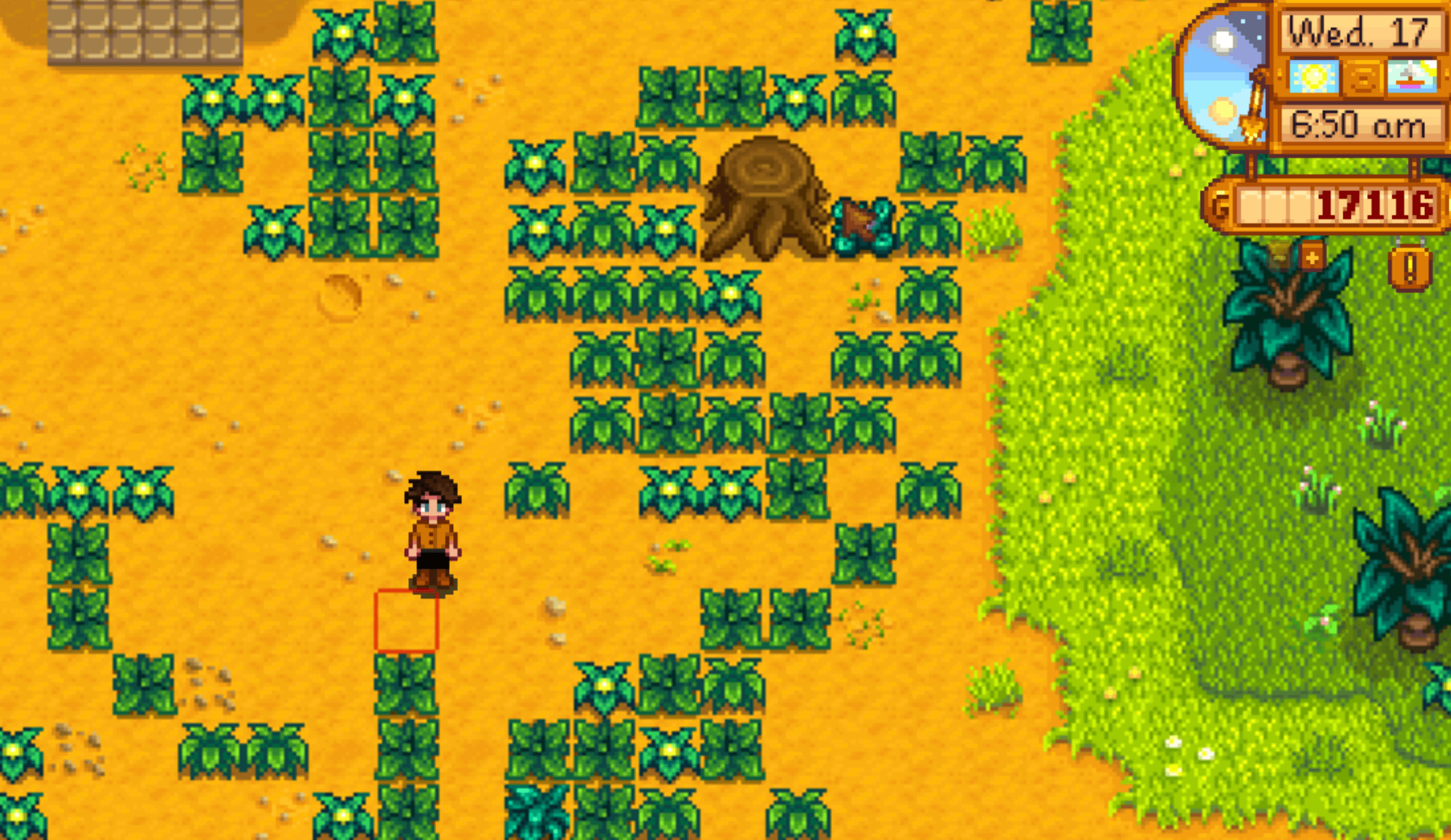 mixed seed stardew