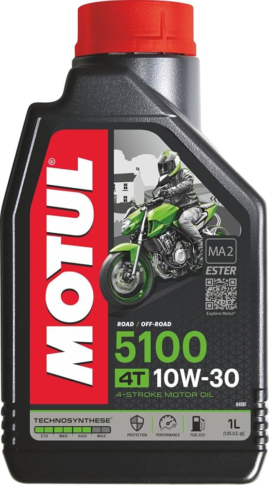 motul share price