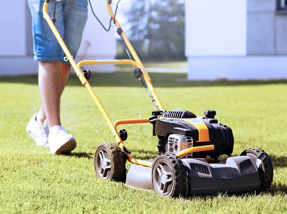 mow service near me