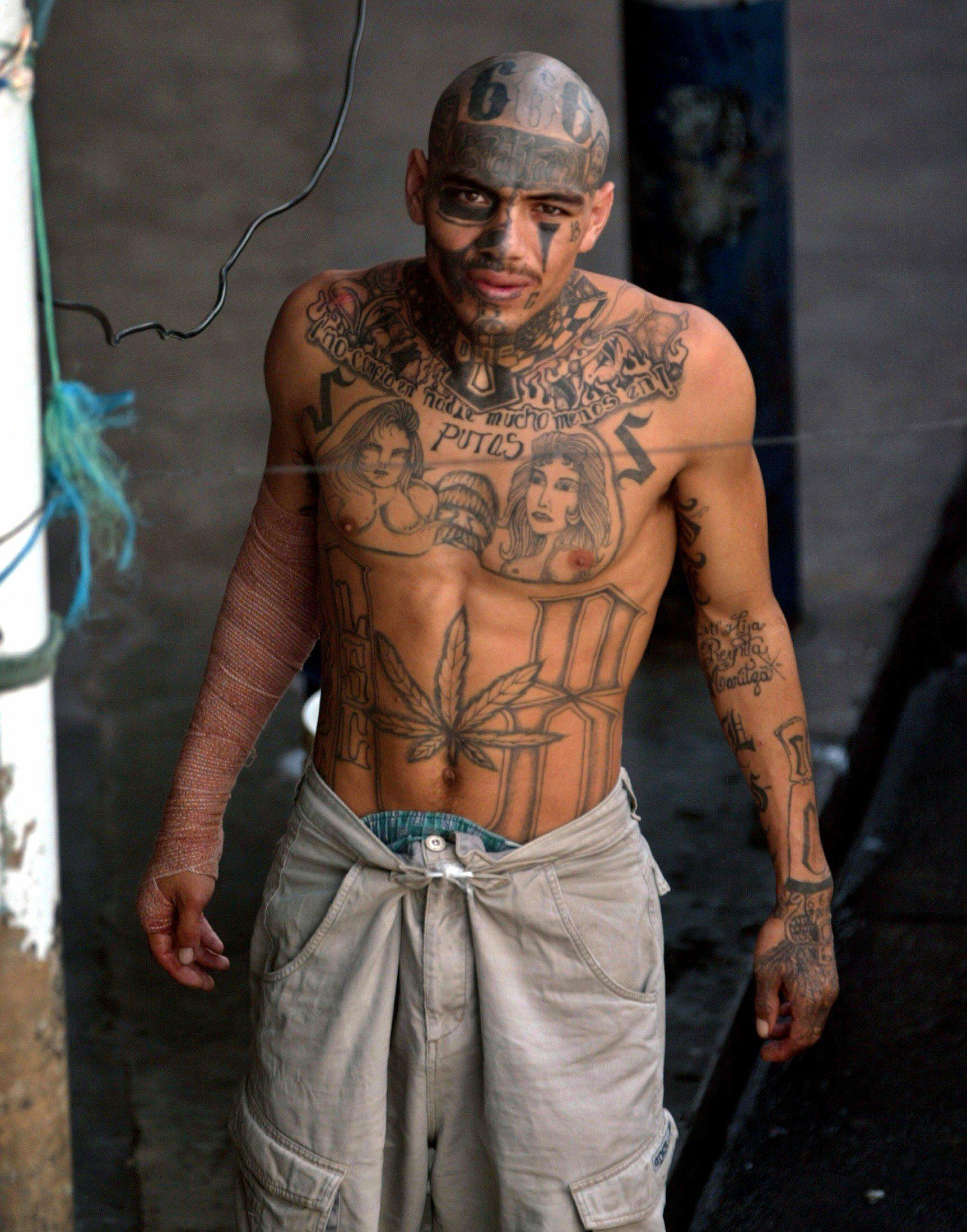 ms 13 in australia