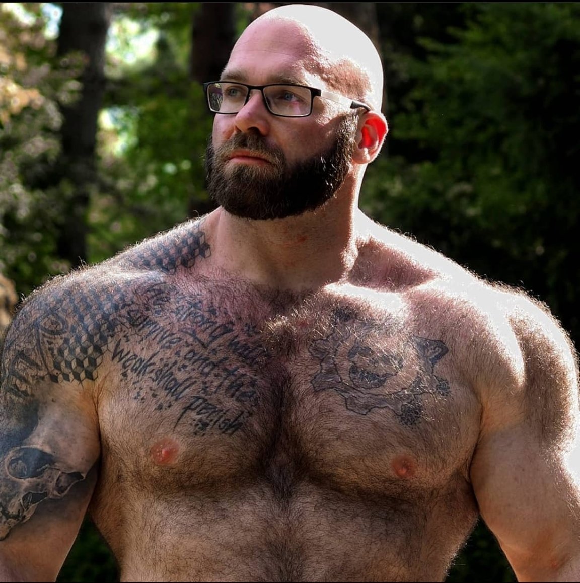 musclebear