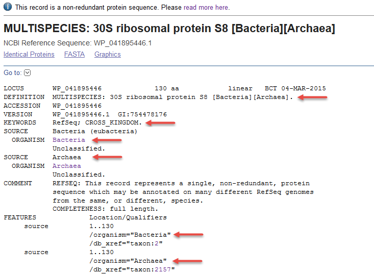 ncbi protein