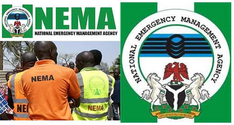 nema nigeria