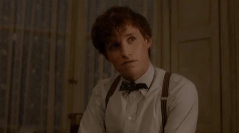 newt scamander x reader lemon