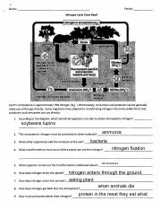 nitrogen cycle close read answers