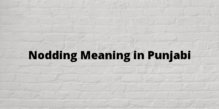 nodding meaning in punjabi