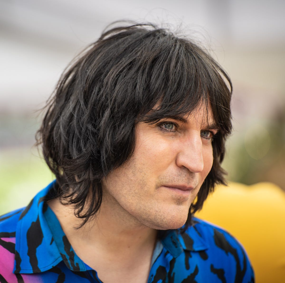 noel fielding pictures