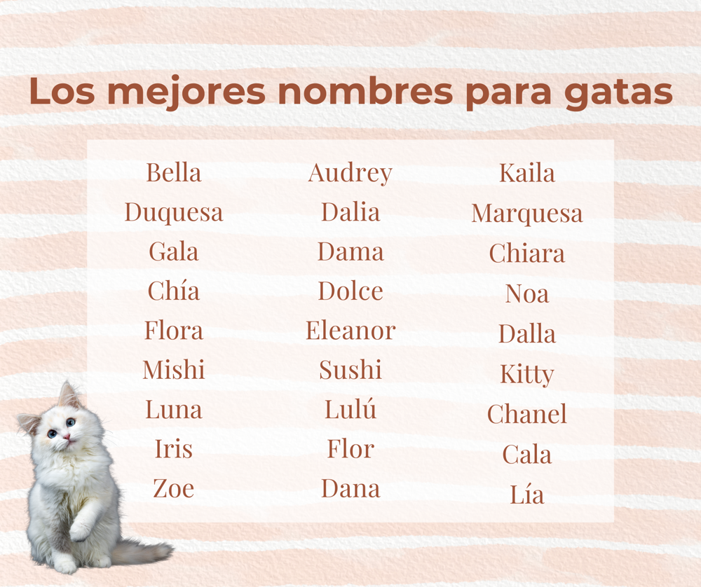 nombres para gatitas 2022