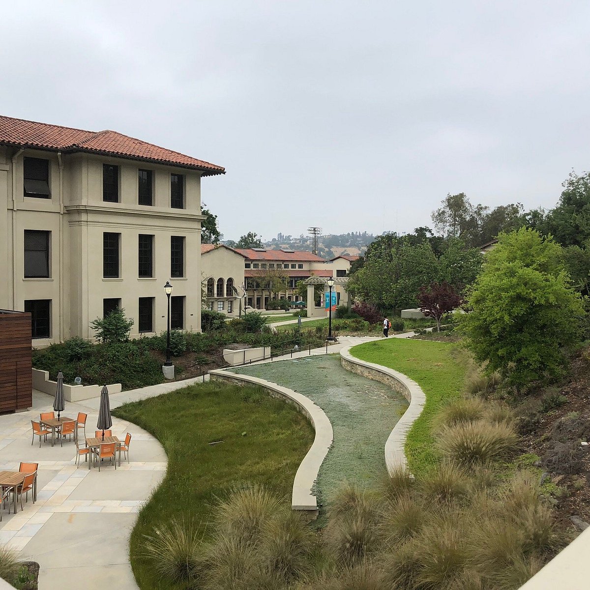 occidental college