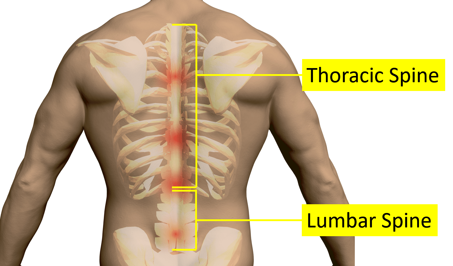 pain in right side of back under ribs