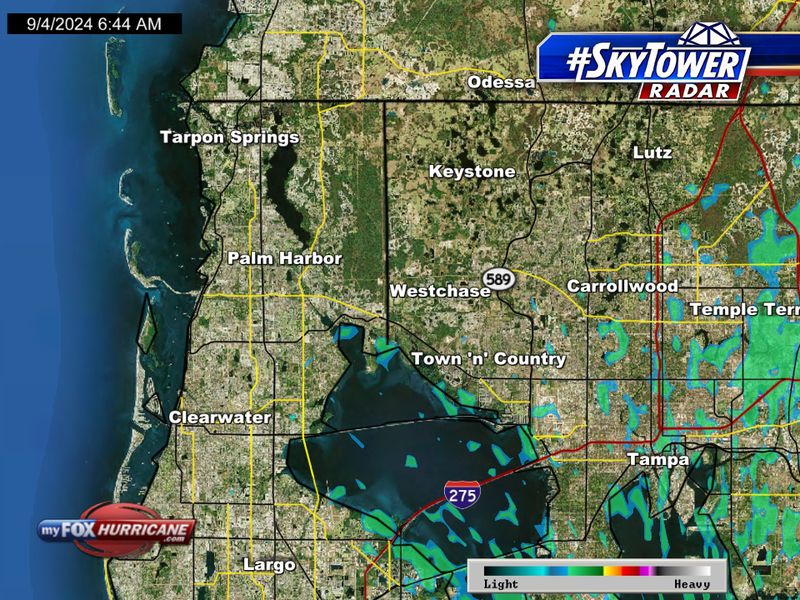 palm harbor radar weather